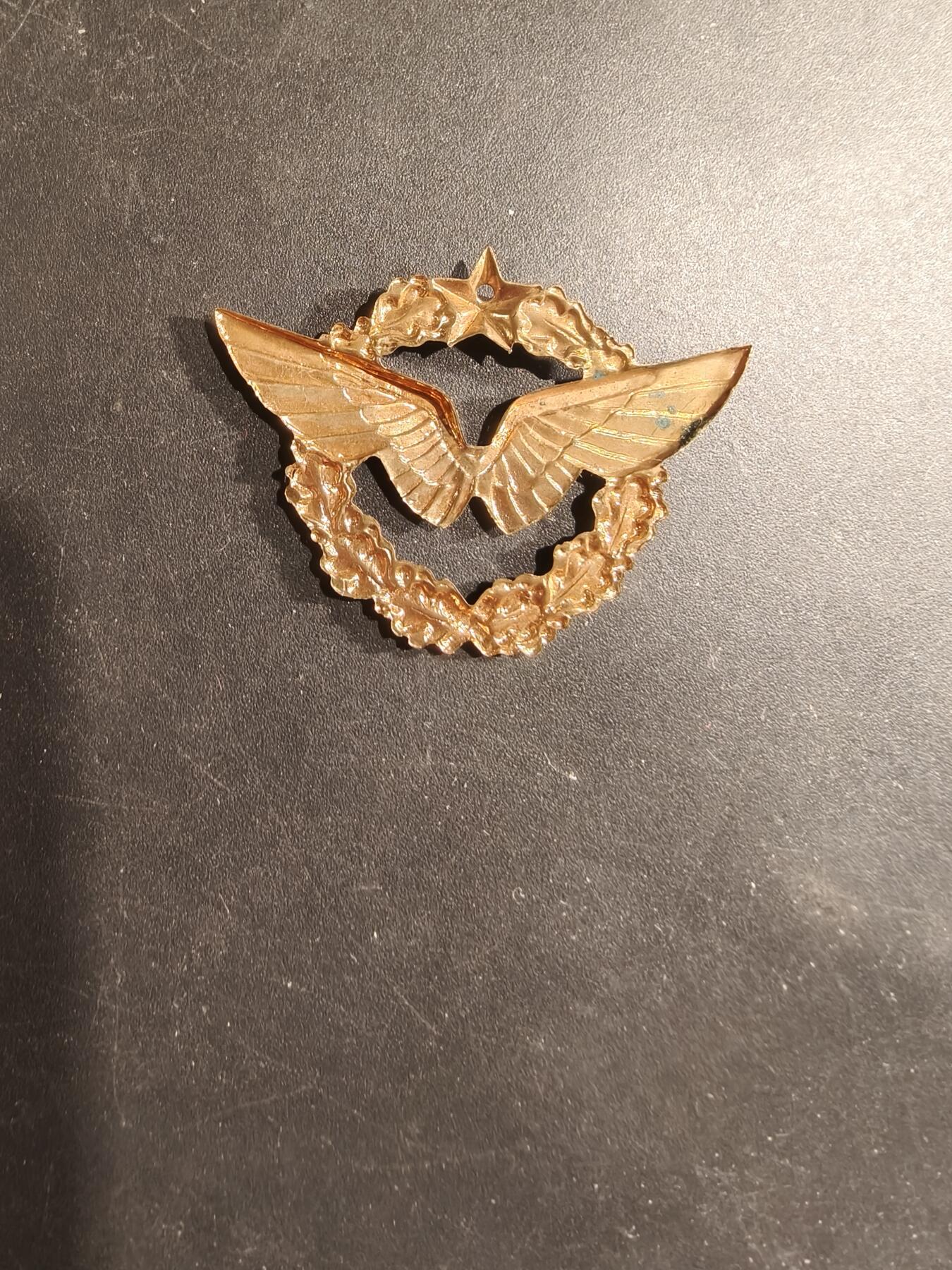 老王徽章第182期 法国空军针插