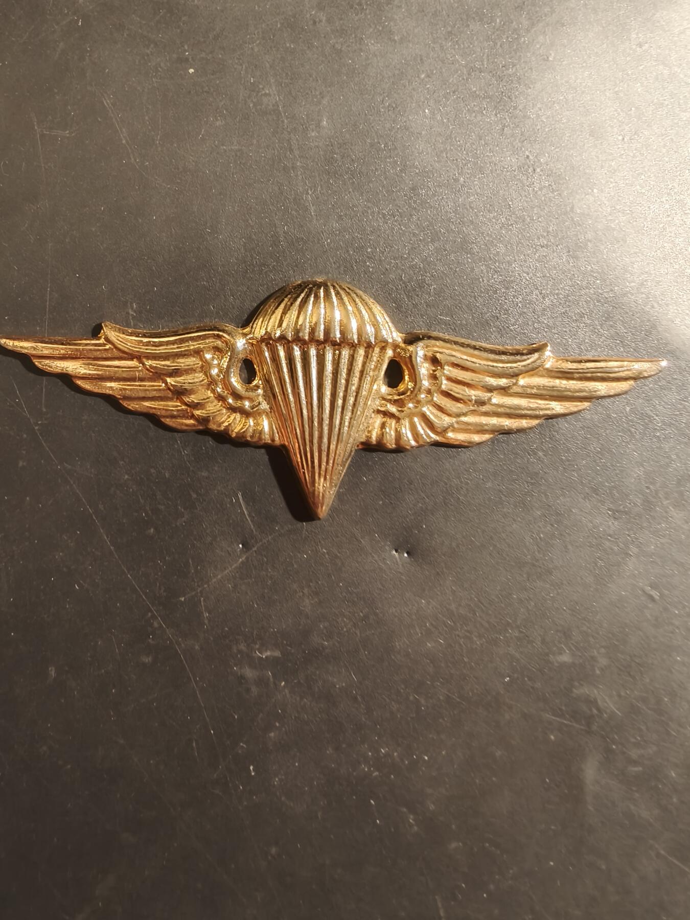 老王徽章第182期 法国空降兵证章