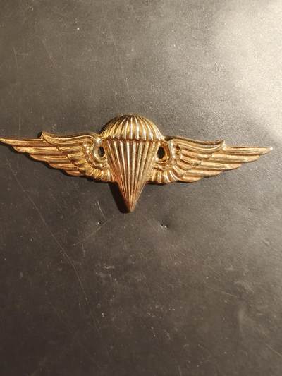 老王徽章第182期 - 法国空降兵证章