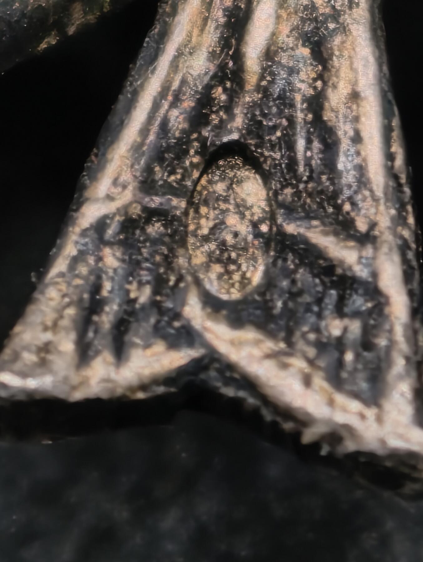 凯旋世界勋赏（第22期新年大拍）（欢迎送拍）（对拍品有疑问请询问客服，不接受到手刀，出价默认拍品品相。请认真阅读拍卖规则！出价默认已认可！）（收到货请录制开箱视频，无视频概不处理问题。）