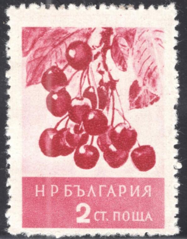 洪涛臻品批发群 精选邮票限时拍卖第1255期 