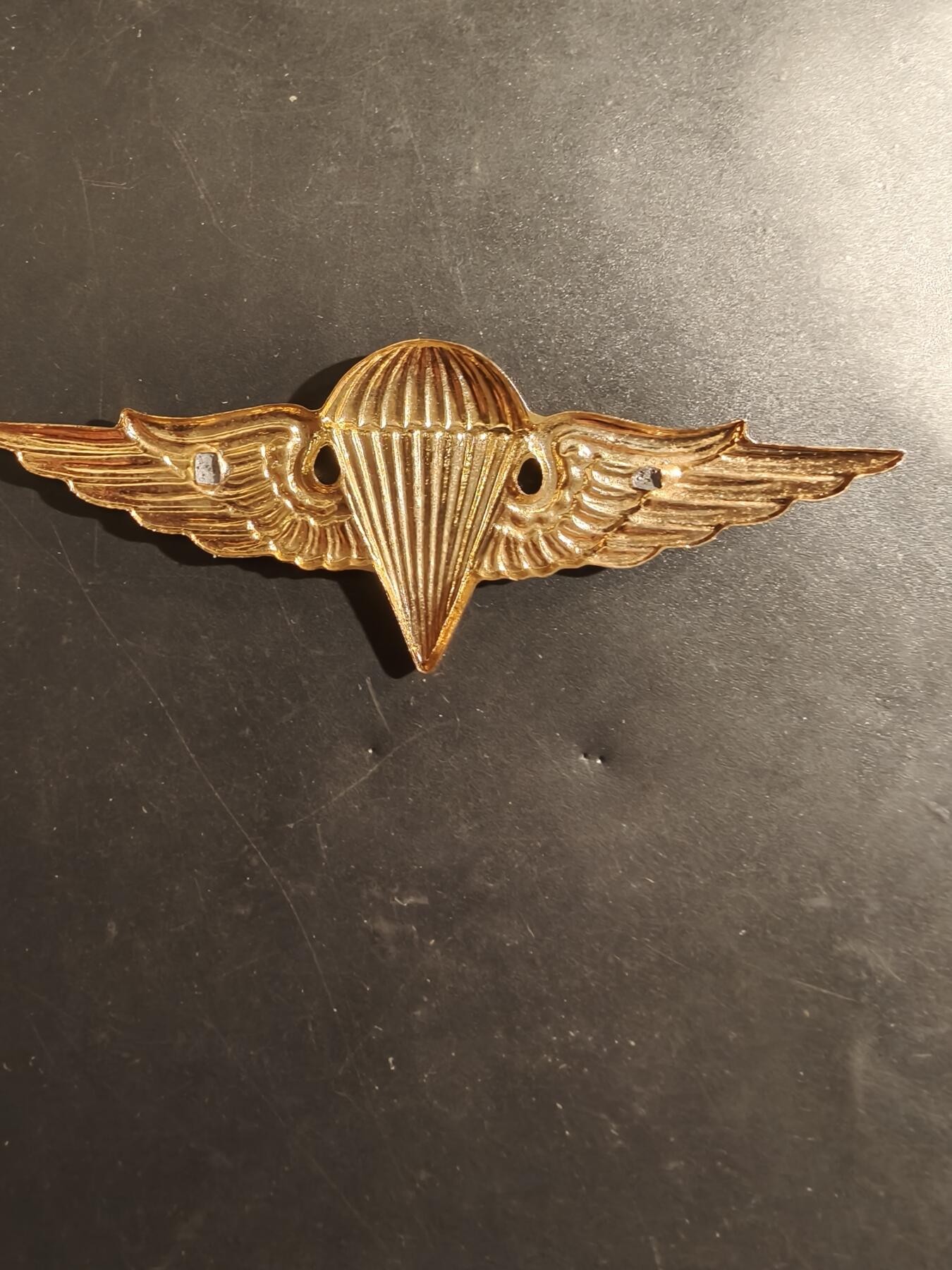 老王徽章第182期 法国空降兵证章