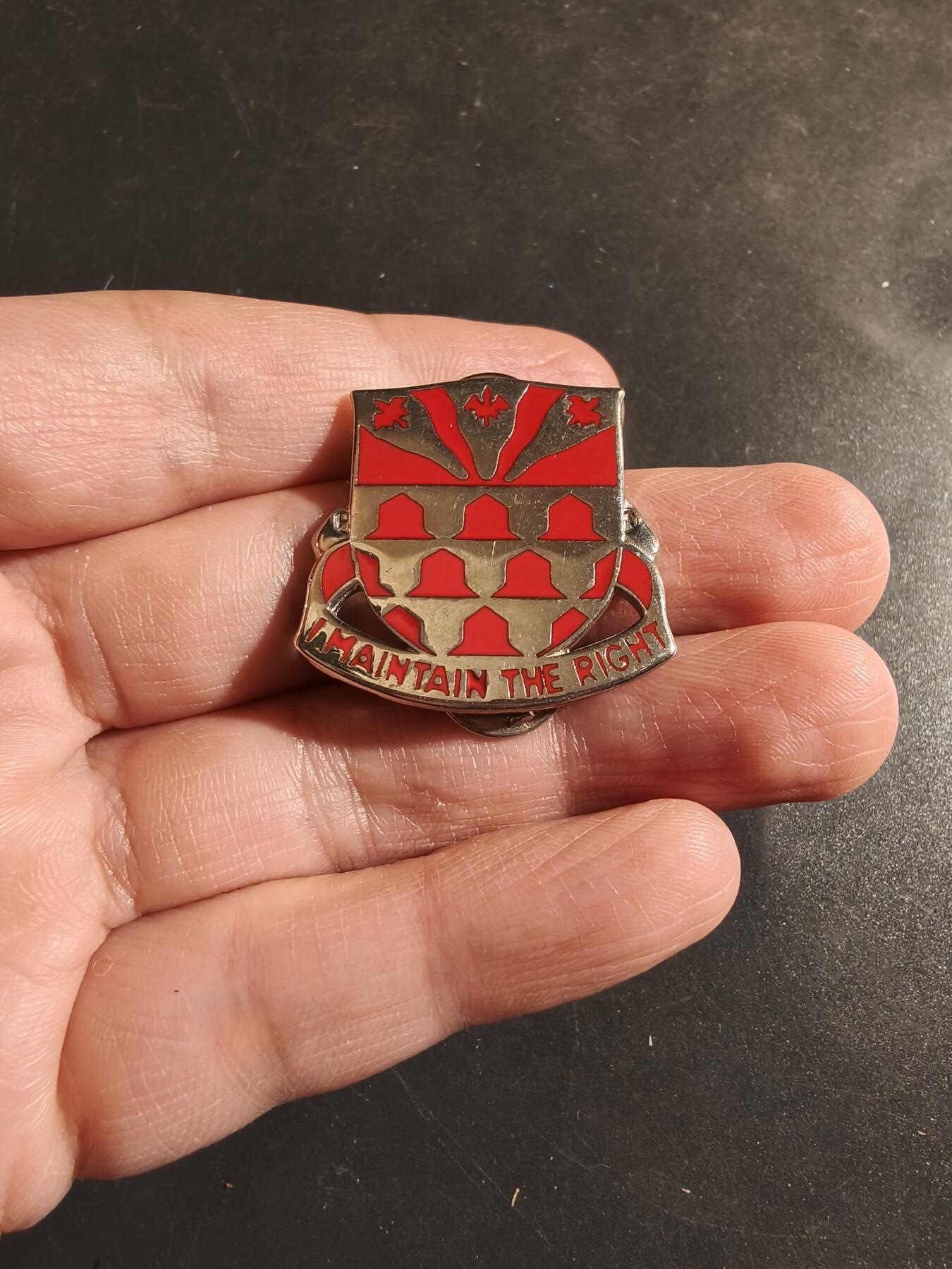 老王徽章第182期 美国陆军第307工兵营证章