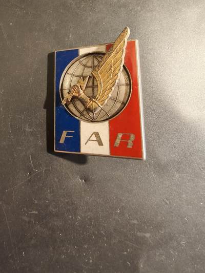 老王徽章第182期 - 法国陆军快速反应部队证章    