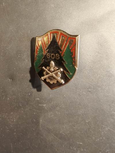 老王徽章第182期 - 法国第608后勤维修大队证章