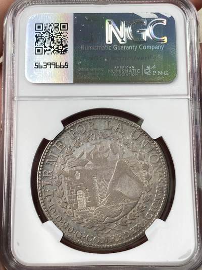 万国钱币拍卖第061期（马年首拍） NGC XFD 1838年南秘鲁太阳脸8瑞尔大银 南美洲名誉品种 好品罕见 深打原味酱彩难得