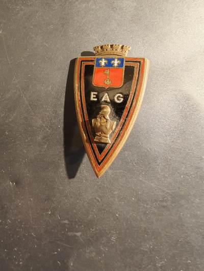 老王徽章第182期 - 法国法属圭亚那外籍军团工兵学校证章