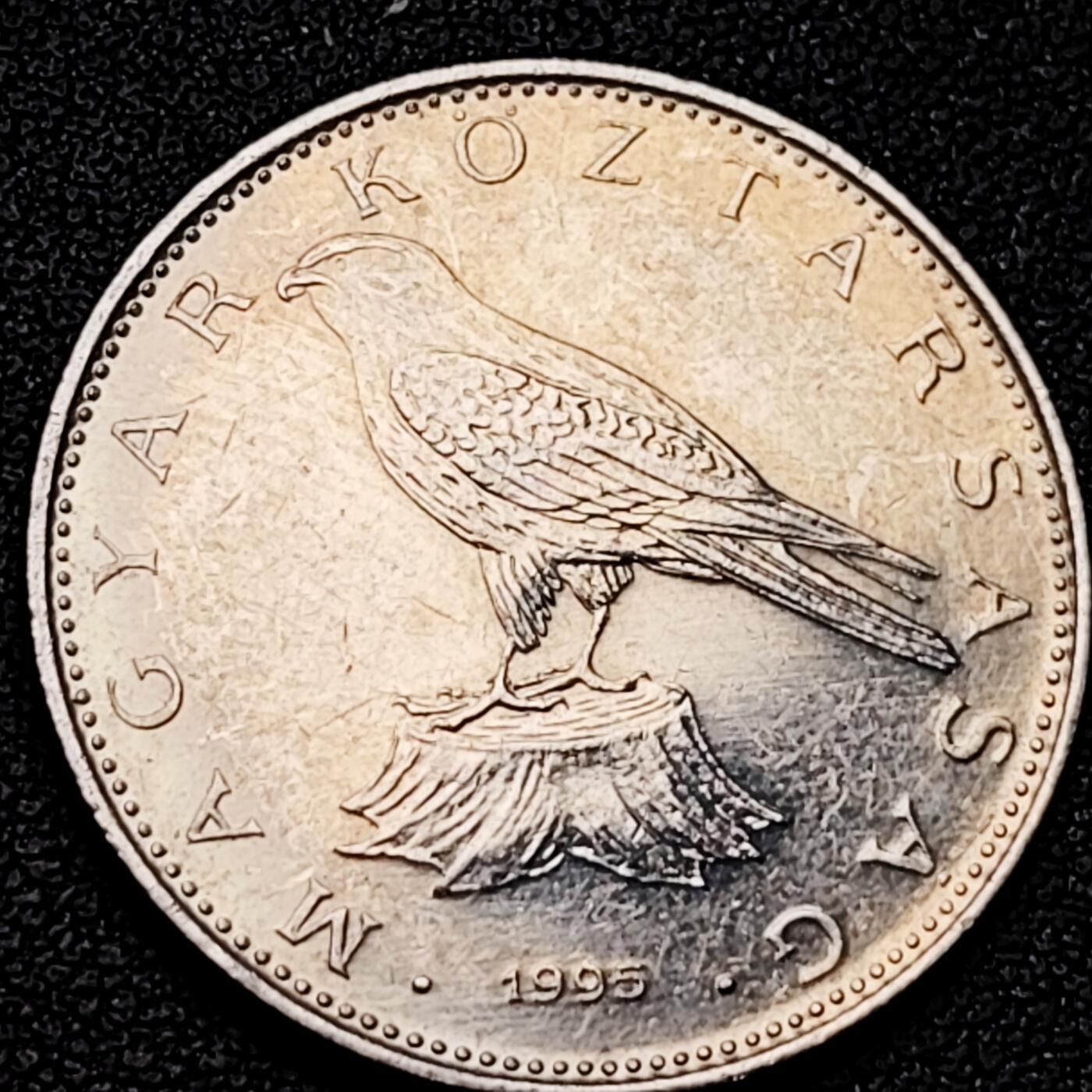 泉币菌-第192场- 除夕专场-新年快乐 本场拍品多 请提前出价（年后发货） 。