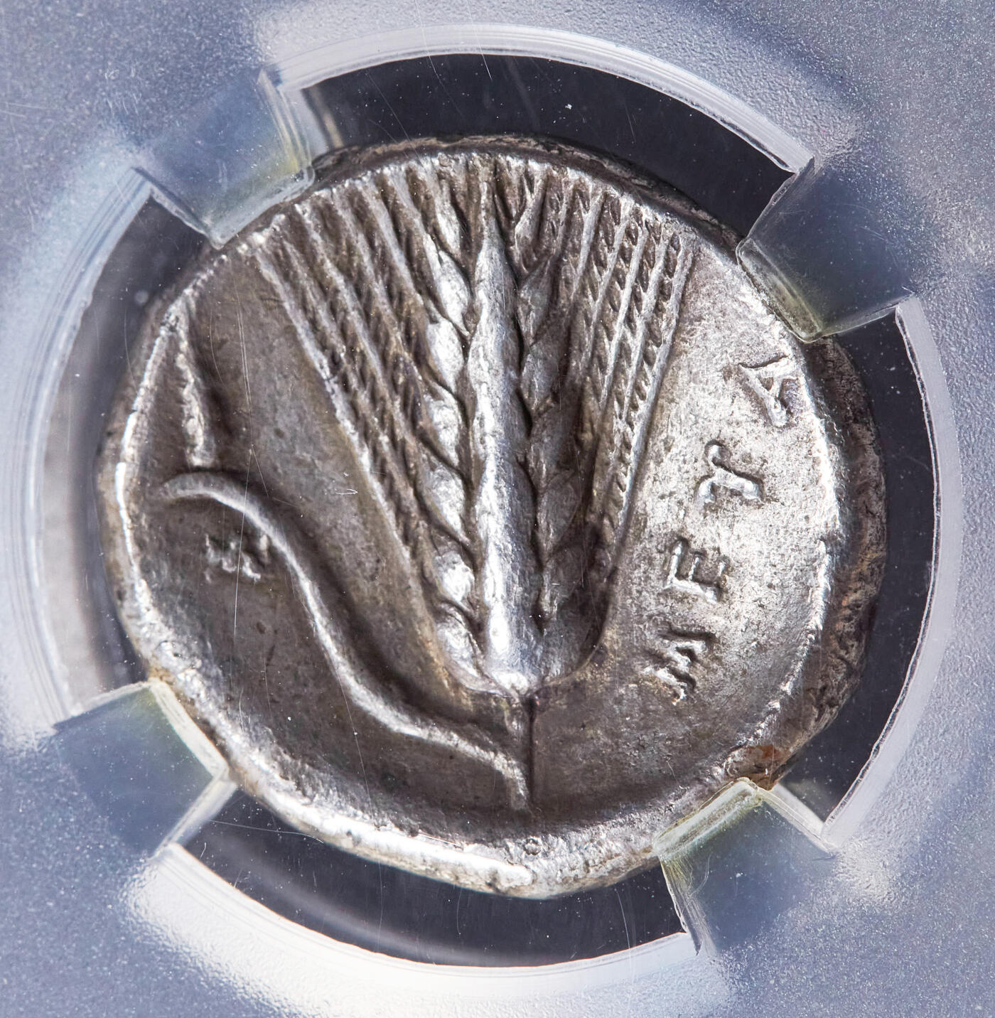 【俄甄集藏】马年新春第一拍 2026年(048)02-25星期三 晚 19:30 全场包邮 古希腊卢卡尼亚梅塔蓬城公元前340-前330年英雄留基伯斯1斯塔特1麦穗银币，TQG Ch XF(Str 4/5, Sur 4/5)，正面戴科林斯盔的建城英雄留基伯斯，背面一株大麦穗，麦叶上有狼牙棒，直径：20mm