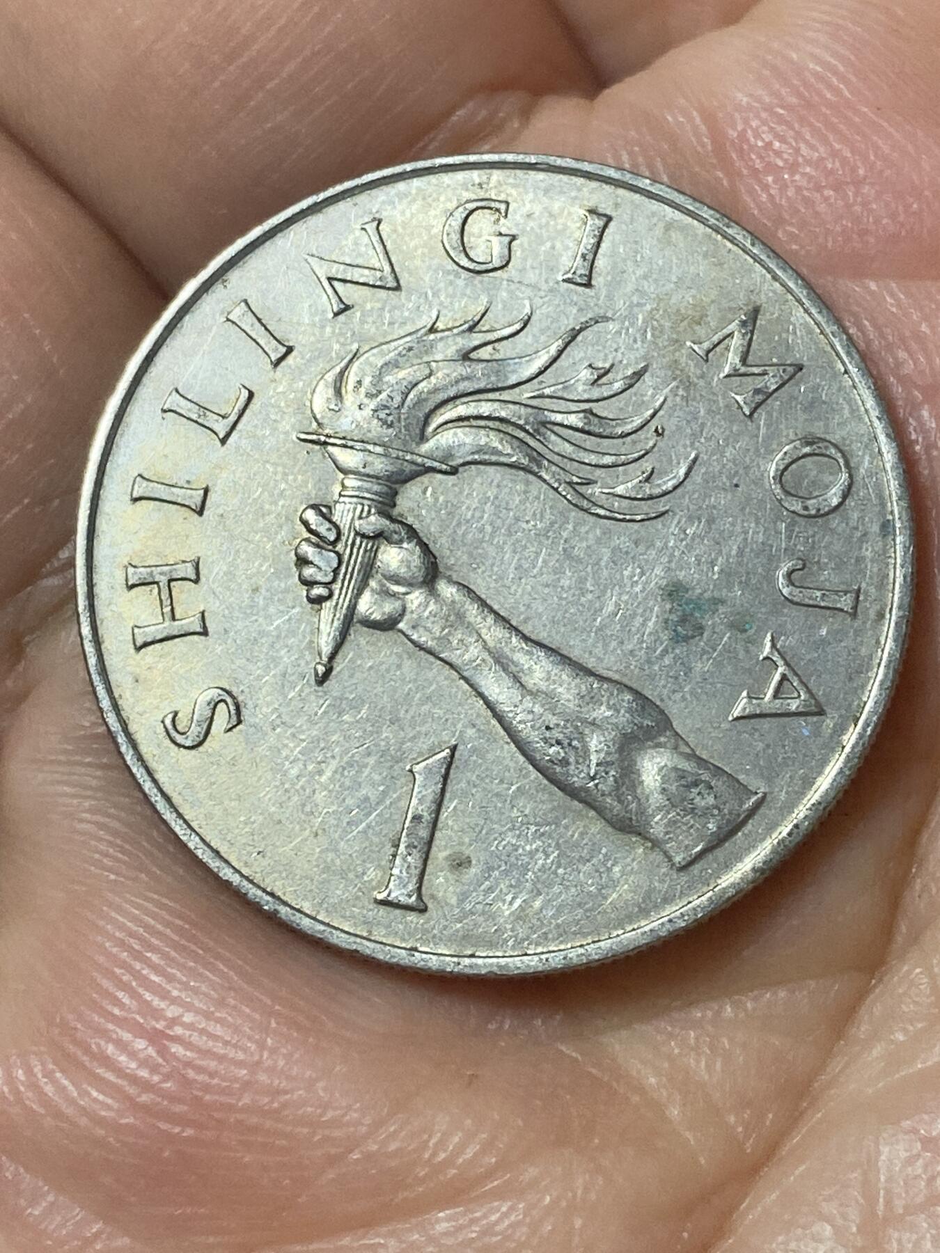 2026年第二十四场(总第一百九十三场）外国好品散币场(免佣金) 坦桑尼亚🇹🇿1966年1先令(独立后首套流通硬币首发年)