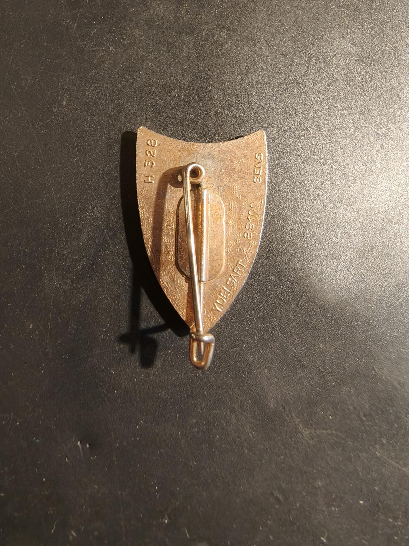 老王徽章第182期 法国第45通信团证章