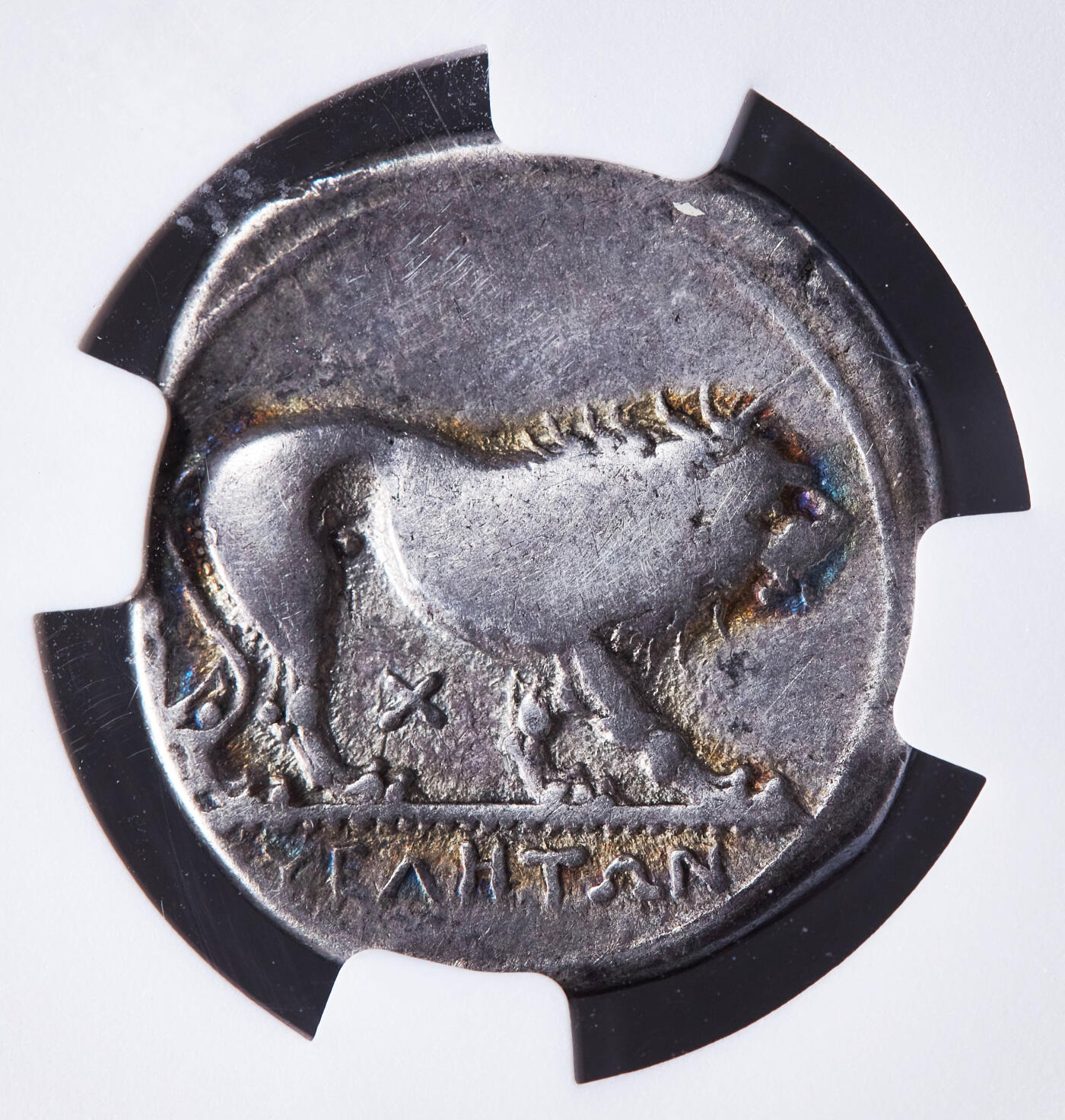 【俄甄集藏】马年新春第一拍 2026年(048)02-25星期三 晚 19:30 全场包邮 古希腊南意大利卢卡尼亚维利亚公元前340-前334年双德拉克马雅典娜狮子银币，NGC Ch F(Str 5/5, Sur 2/5)，维利亚城打制，正面戴阿提卡头盔的雅典娜，背面右行的雄狮，直径：22mm，重：7.38克，五彩包浆