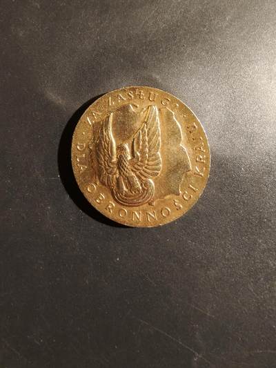 老王徽章第182期 - 波兰金级国防服役奖章   无上挂