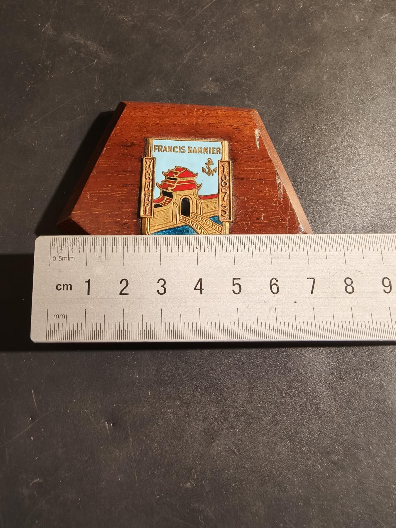 老王徽章第182期 法国海军军官和探险家弗朗西斯·加尼尔牌匾    长度72mm     加尼尔是19世纪东南亚湄公河考察团的领导人之一。  他于1873年12月21日在越南河内（Hanoi）附近的一次战斗中阵亡。