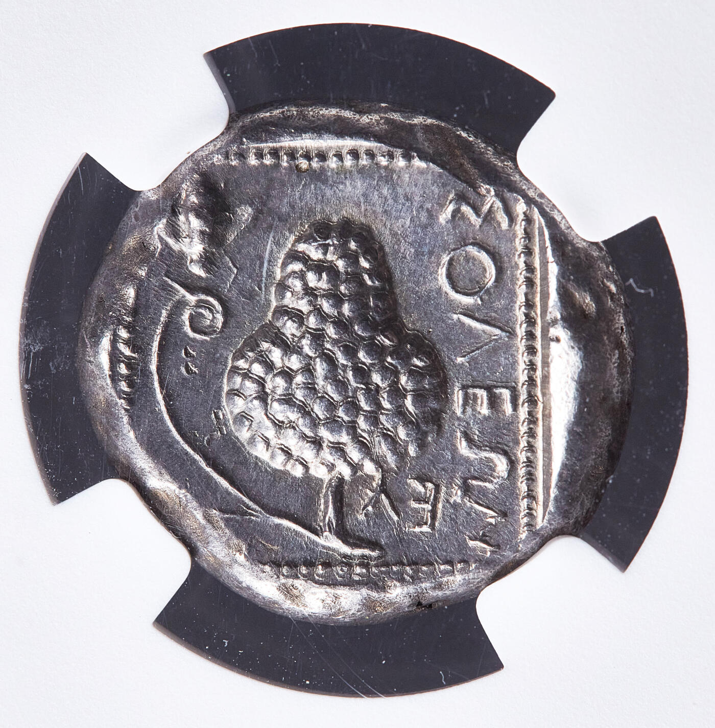 【俄甄集藏】马年新春第一拍 2026年(048)02-25星期三 晚 19:30 全场包邮 古希腊西里西亚索洛伊城公元前440-400年亚马逊战士/葡萄串与蝉1斯塔特银币，NGC Ch XFF(Str 3/5, Sur 4/5)，正面赤裸半身的亚马逊战士在挽弓搭箭，腰部挂着箭袋，肩部右侧有森林之神萨蒂尔头像；背面葡萄串与蝉，左侧地名币文，背面葡萄图案是索洛伊的城邦徽记，与酒神狄奥尼索斯信仰相关，直径20mm，重10.73克