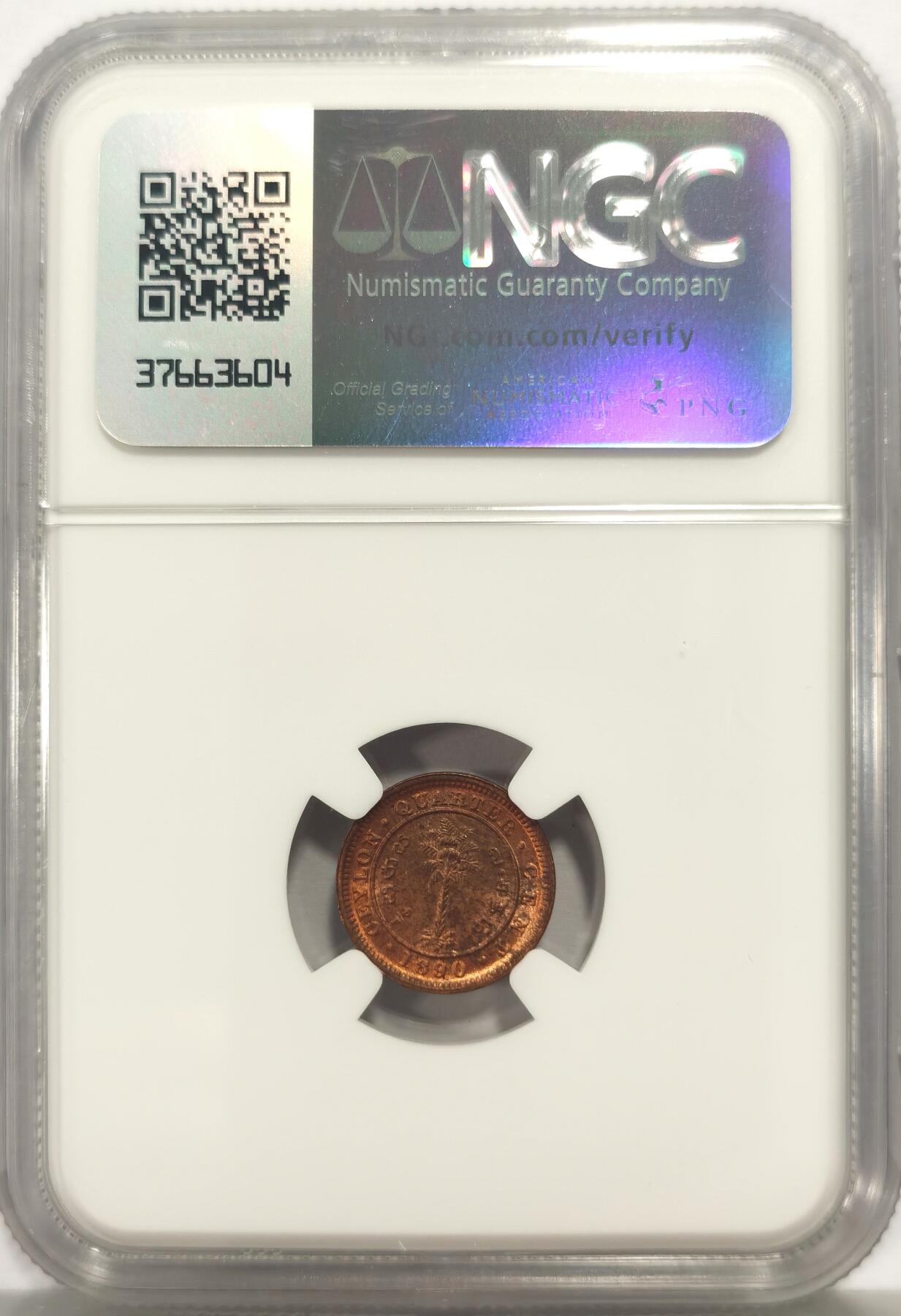 博洋堂蛇年收官专场暨第161期（全场包邮）