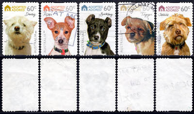 洪涛臻品批发群 精选邮票限时拍卖第1260期  - 澳大利亚2010 很漂亮 宠物狗邮票