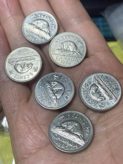 2026年第二十四场(总第一百九十三场）外国好品散币场(免佣金) - 加拿大🇨🇦各年份5分6枚