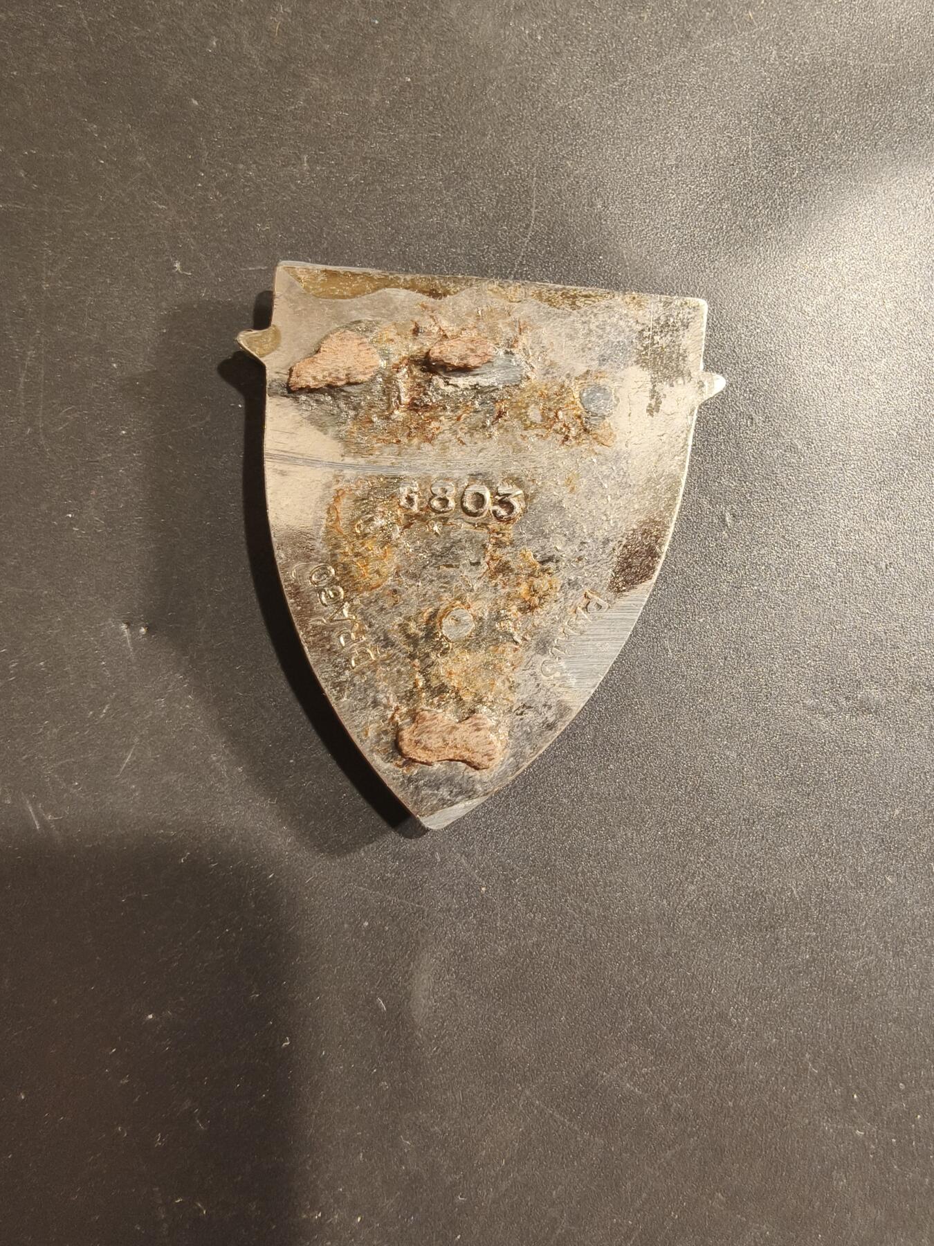 老王徽章第182期 法国驻德法军证章