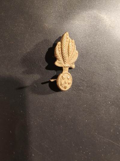 老王徽章第182期 - 比利时工兵领章