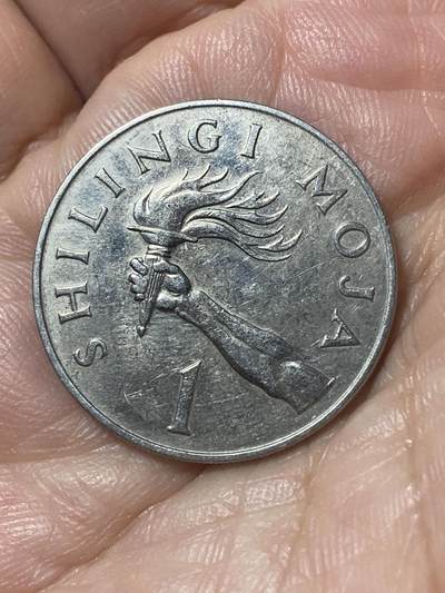 2026年第二十四场(总第一百九十三场）外国好品散币场(免佣金) - 坦桑尼亚🇹🇿1966年1先令(独立后首套流通硬币)