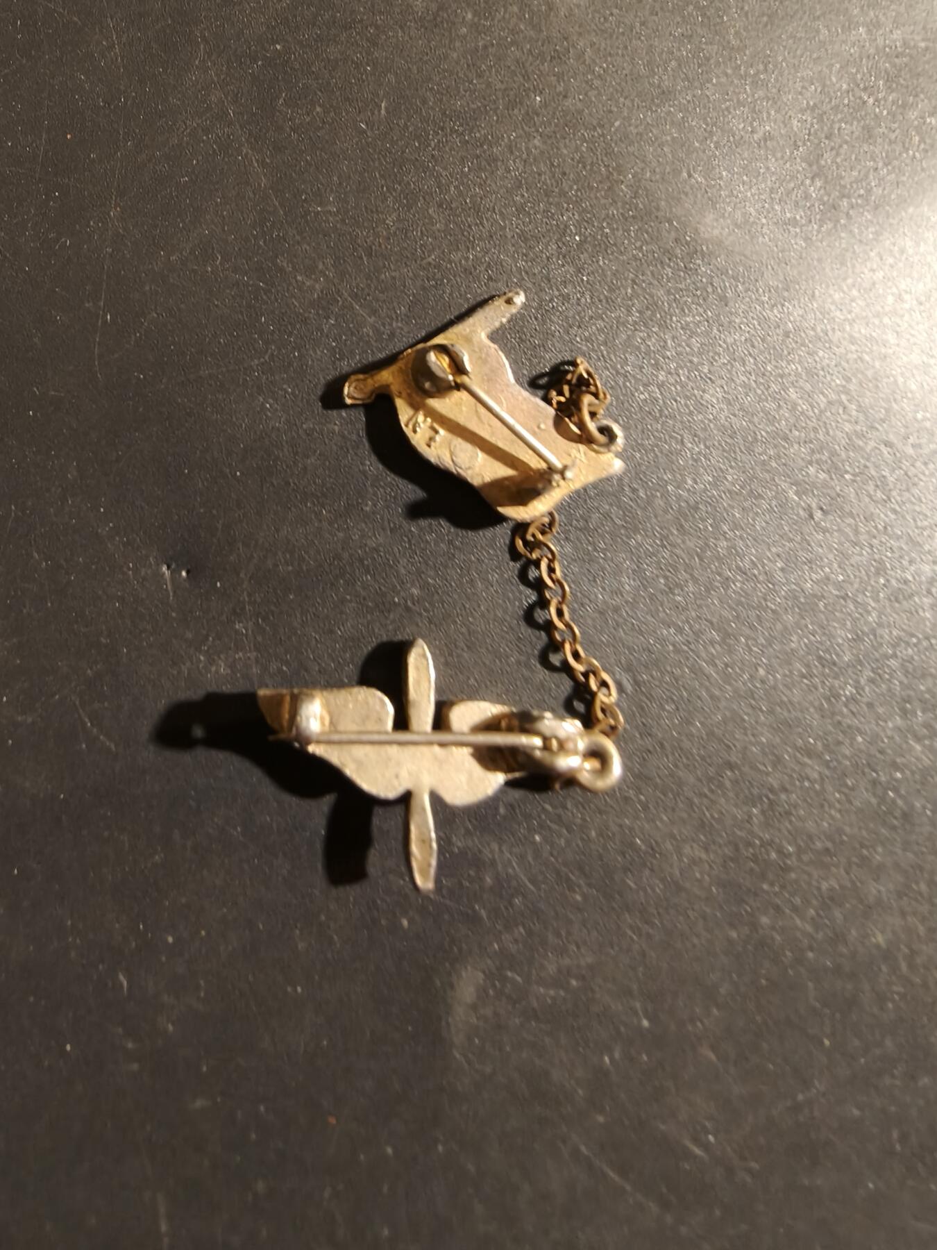 老王徽章第182期 美国二战陆军航空兵链章