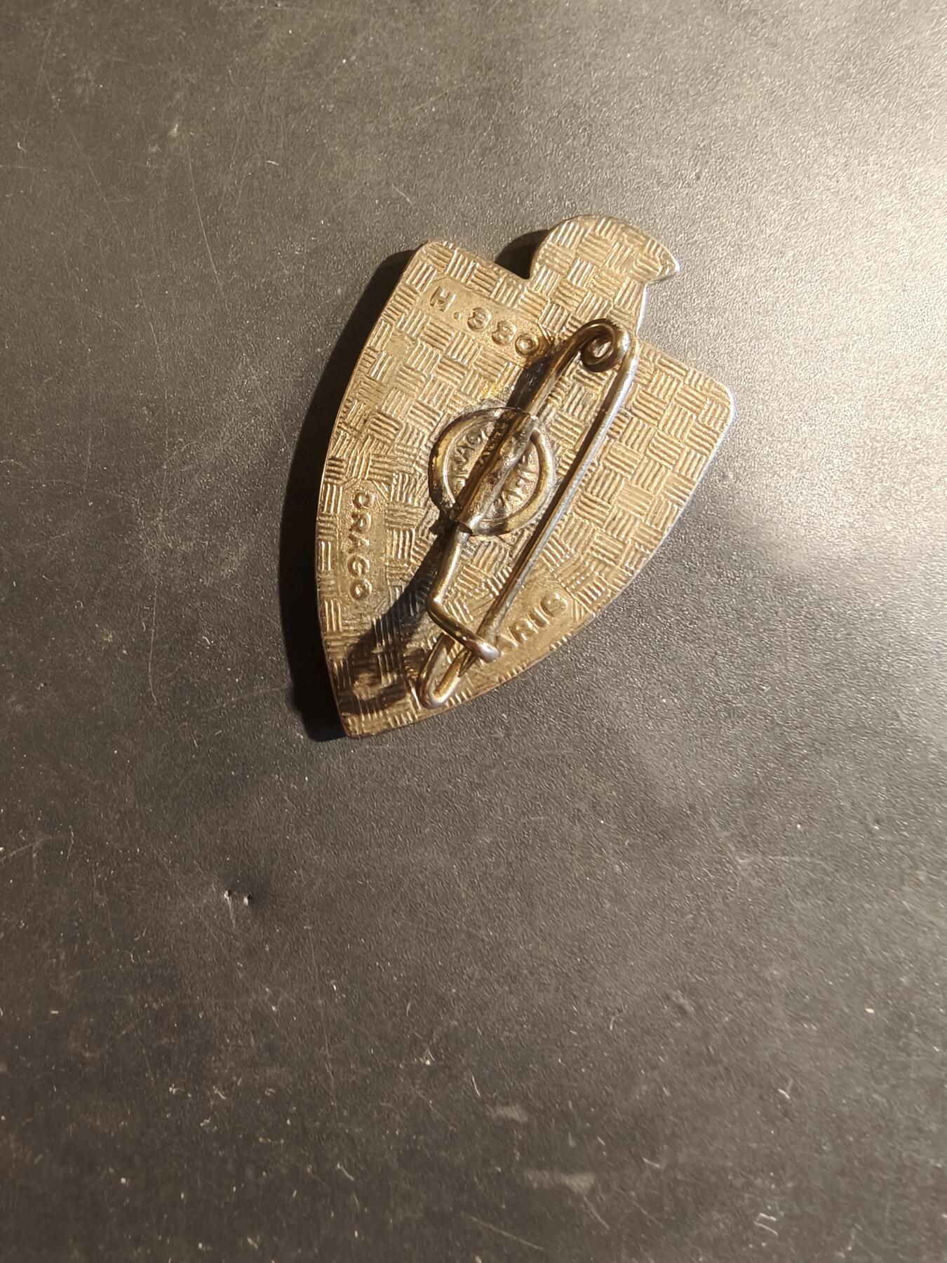 老王徽章第182期 法国第2工兵团证章