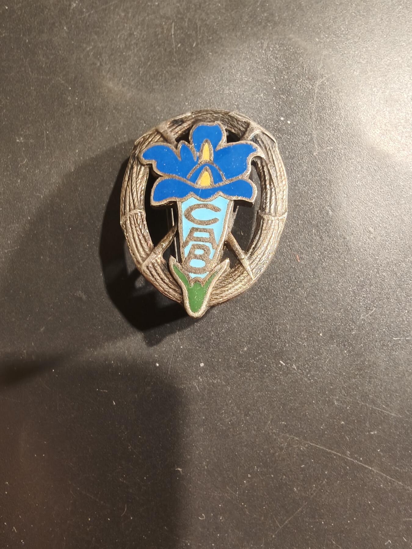 老王徽章第182期 比利时登山俱乐部证章