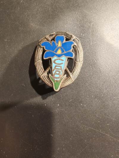 老王徽章第182期 - 比利时登山俱乐部证章