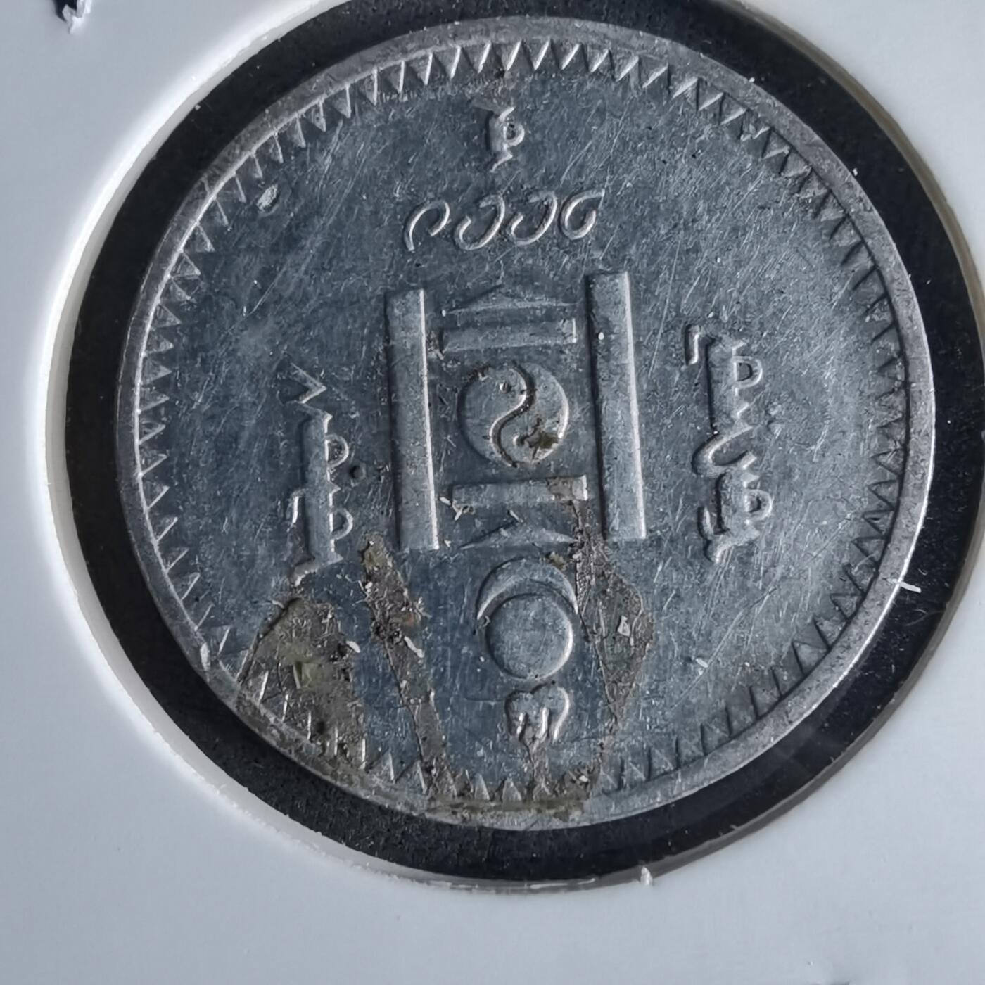 沼泽如烟--第994场