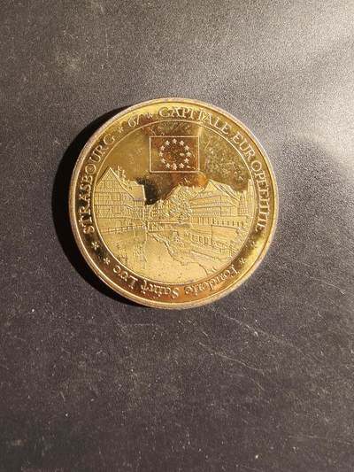 老王徽章第182期 - 法国斯特拉斯堡市纪念章