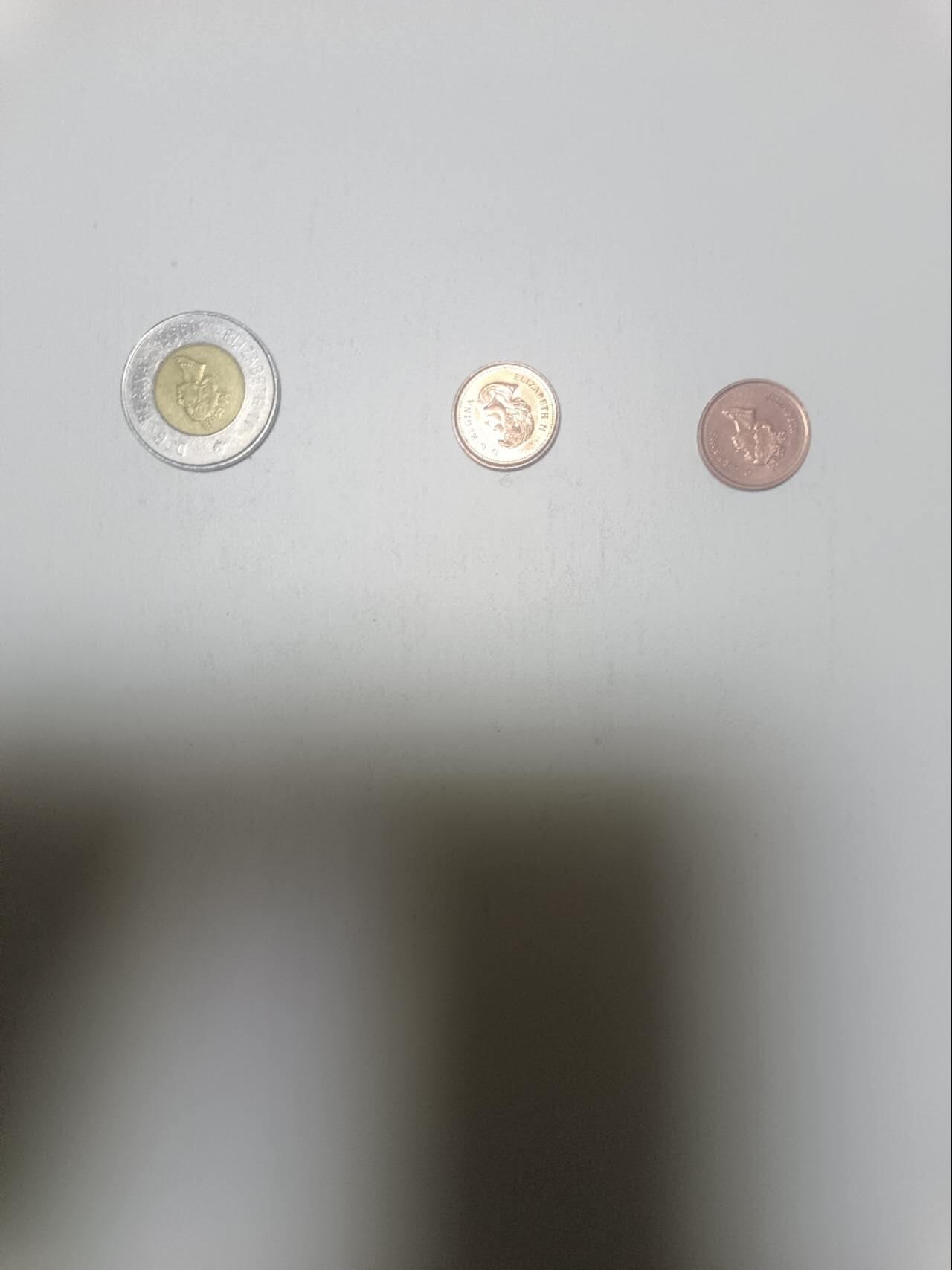 【20260215】非全新纸币和硬币第335场 加拿大2.02加元