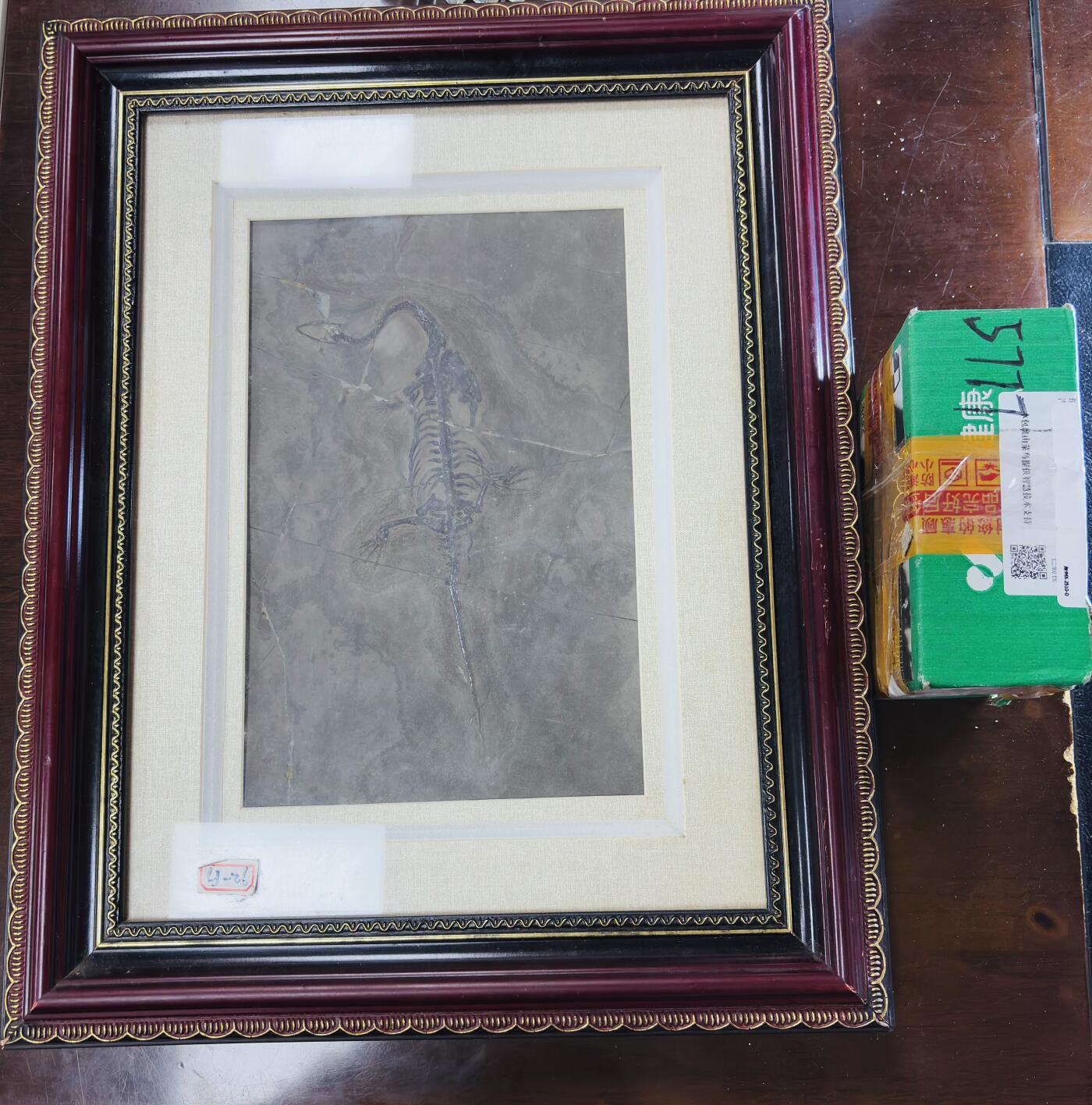 【金马踏春，泉马奔腾】2026 年新年贺岁场，（定于年初五接财神截拍）祝各位老板马到成功，马上有钱，愿岁岁平安喜乐顺遂 精美相框镶嵌化石标本画，箱子是对比大小图，重，此件不包邮，需另外补邮费