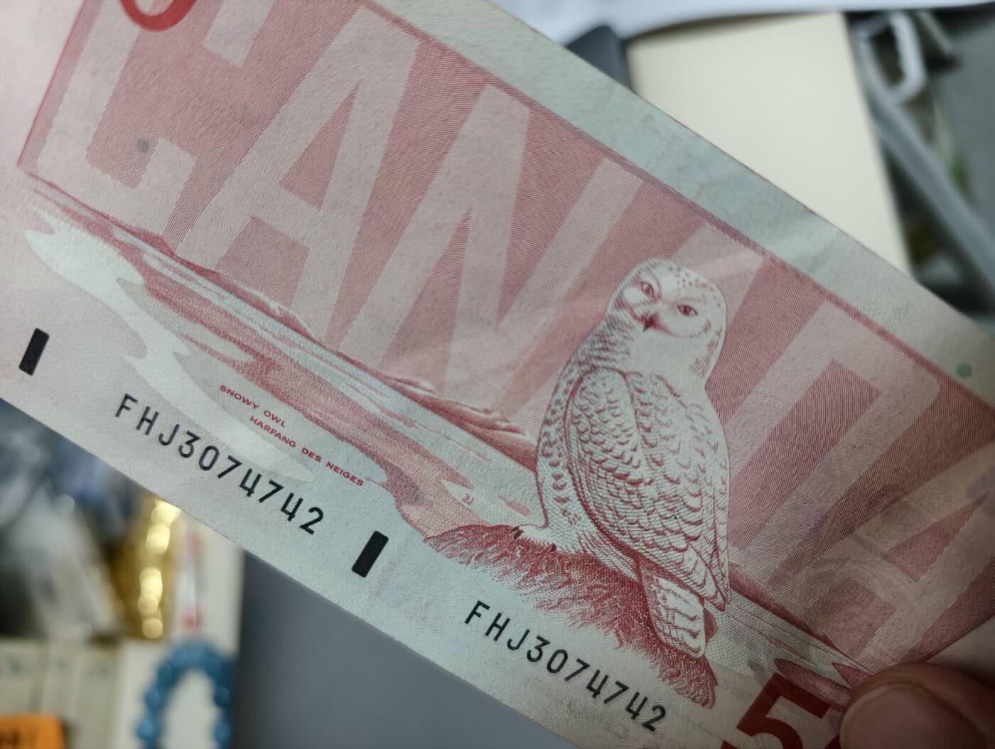 春节钱币瓷器清货捡漏拍场