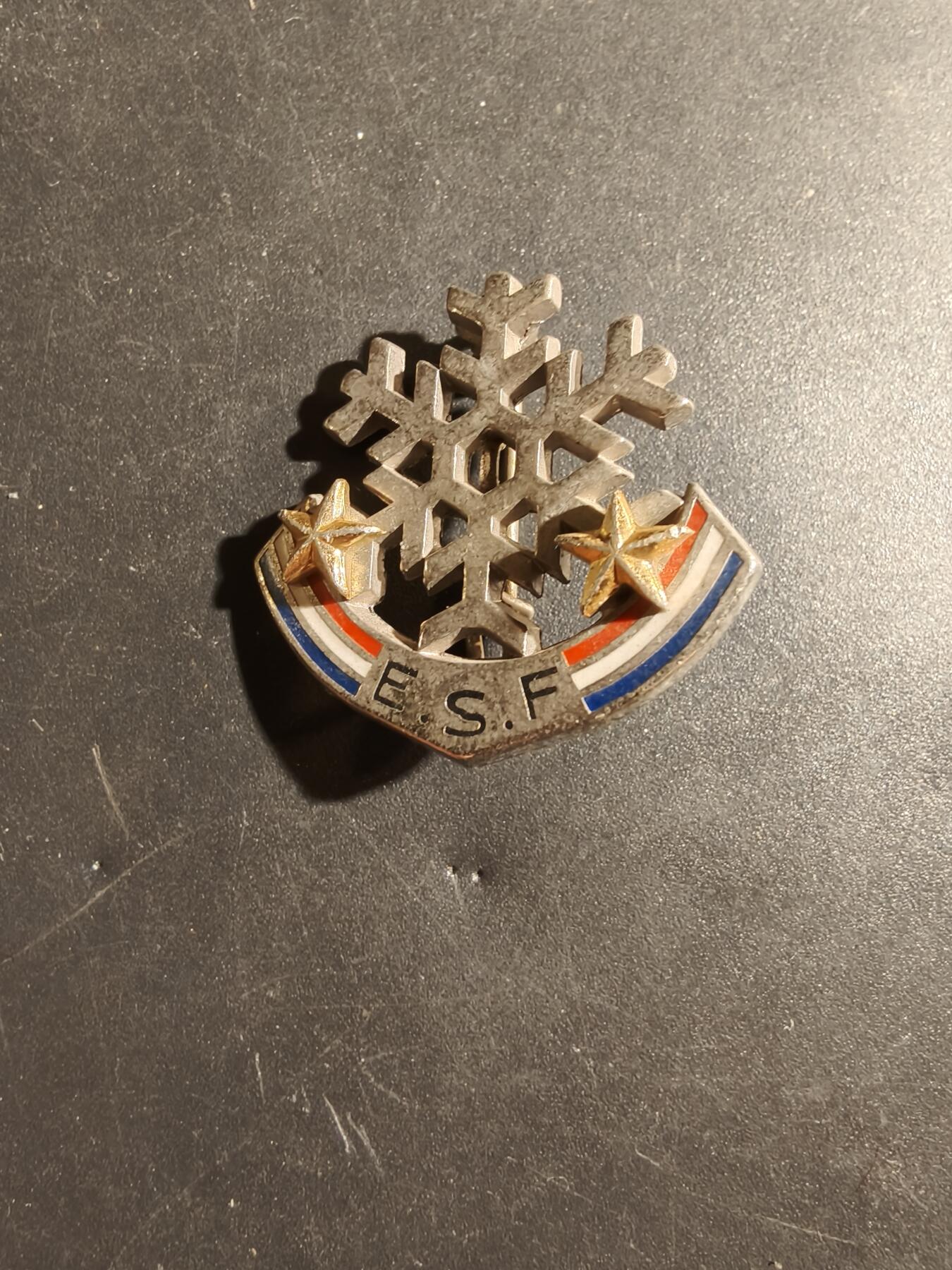 老王徽章第182期 法国高山滑雪学校证章