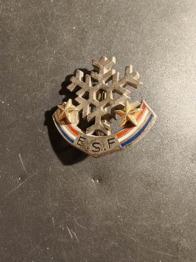 老王徽章第182期 - 法国高山滑雪学校证章