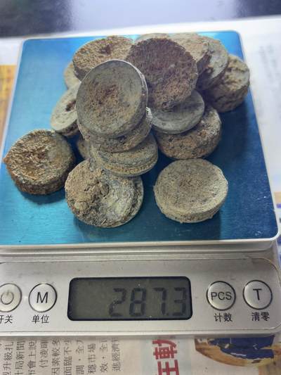 【金马踏春，泉马奔腾】2026 年新年贺岁场，（定于年初五接财神截拍）祝各位老板马到成功，马上有钱，愿岁岁平安喜乐顺遂 - 69 连左右分 20 坨，287 克，河道清筒子，清顺治到宣统，有几率出顺治，雍正，太平天国等好钱，这种货某某直播间都是按个算的，喜欢的不要错过了