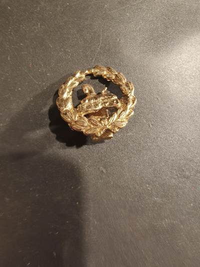 老王徽章第182期 - 英国南威尔士边境步兵团领章