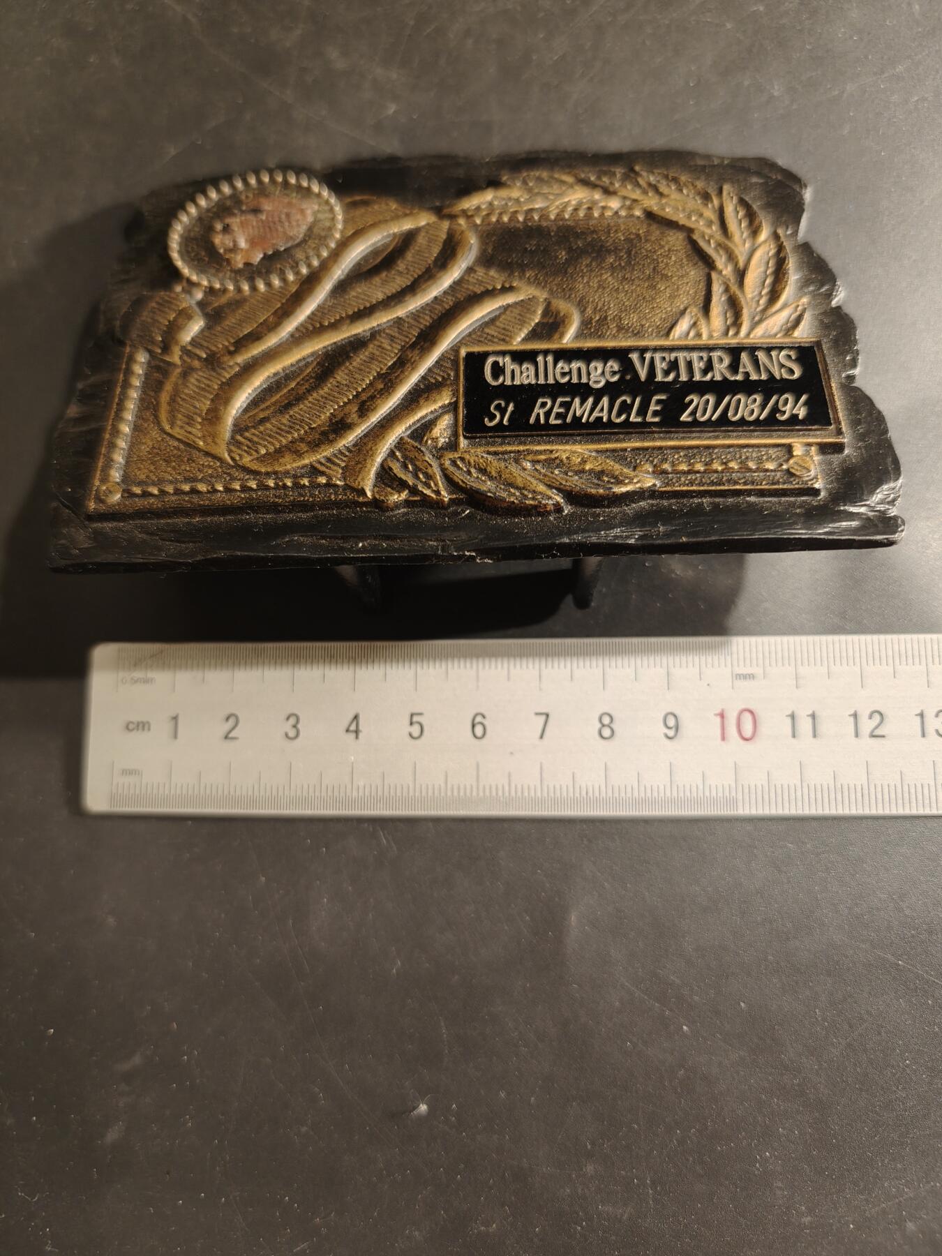 老王徽章第182期 美国老兵协会嘉奖牌匾    12×8cm