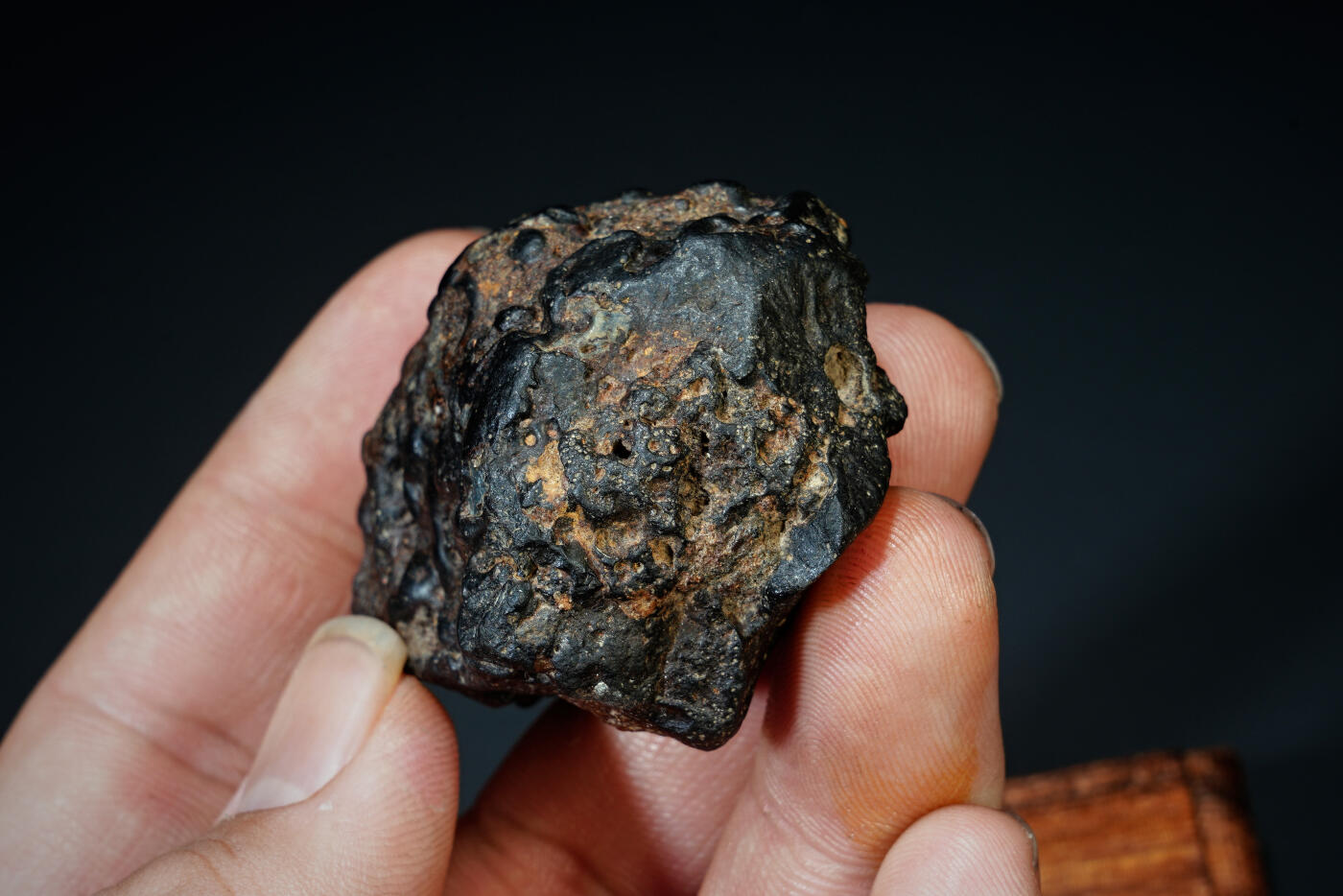 上海都达杂项专场三十一【全场包邮】  陨石连座89-2