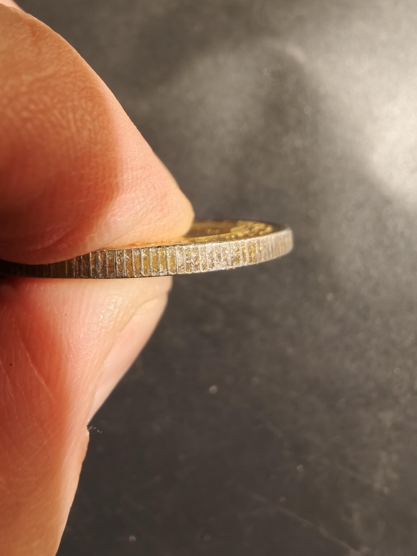 老王徽章第182期 法国斯特拉斯堡市纪念章