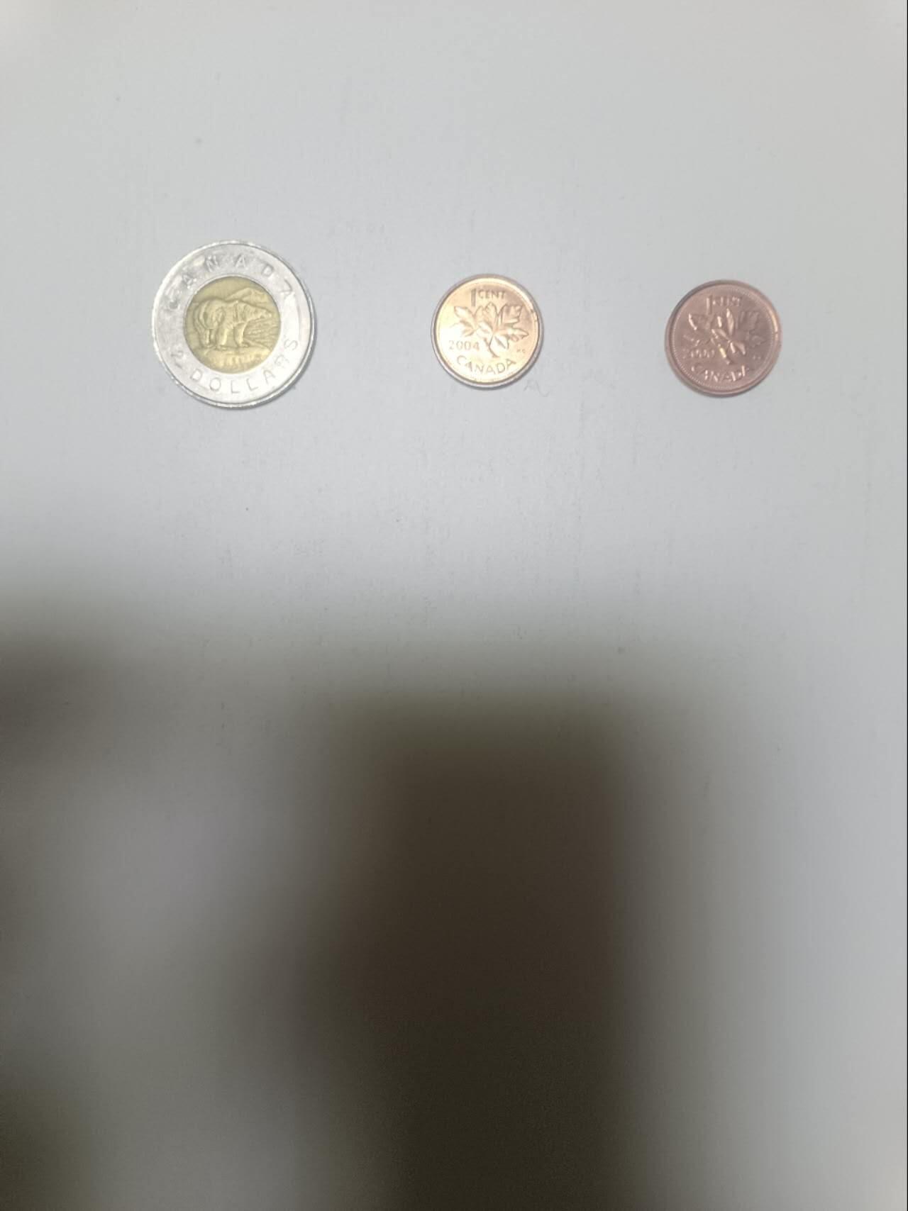 【20260215】非全新纸币和硬币第335场 加拿大2.02加元