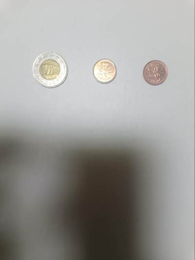 【20260215】非全新纸币和硬币第335场 - 加拿大2.02加元