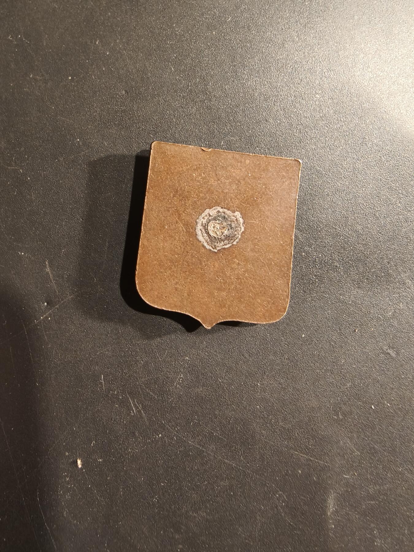 老王徽章第182期 法国徽章