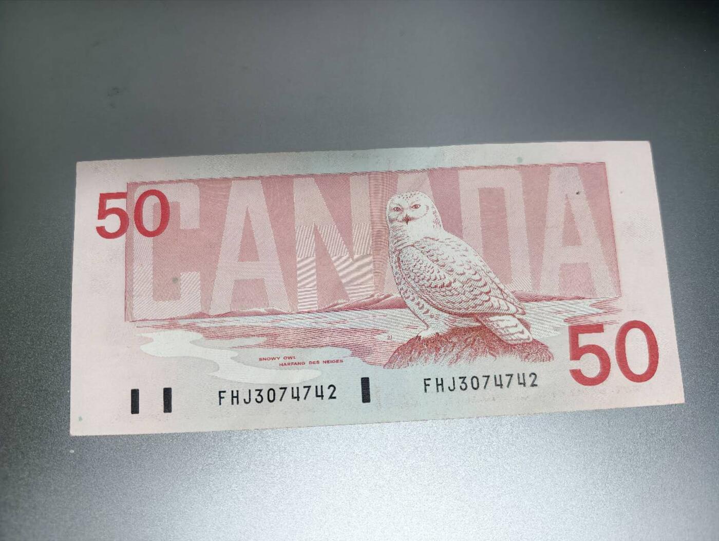 春节钱币瓷器清货捡漏拍场