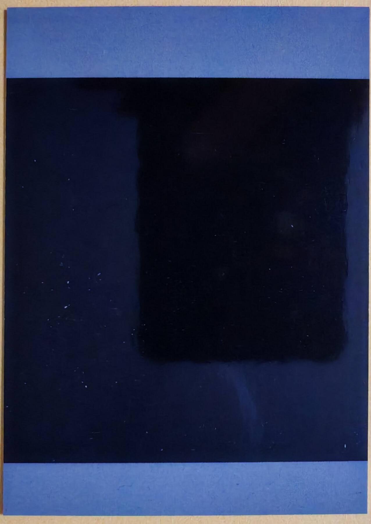 趣卡卡拍No.26期（新年场，马年大吉）（无佣金免手续费，分享成交有奖） 【拍立得】焱卡文化 问道东方 限定拍立得-灰与 涂山氏（异画）