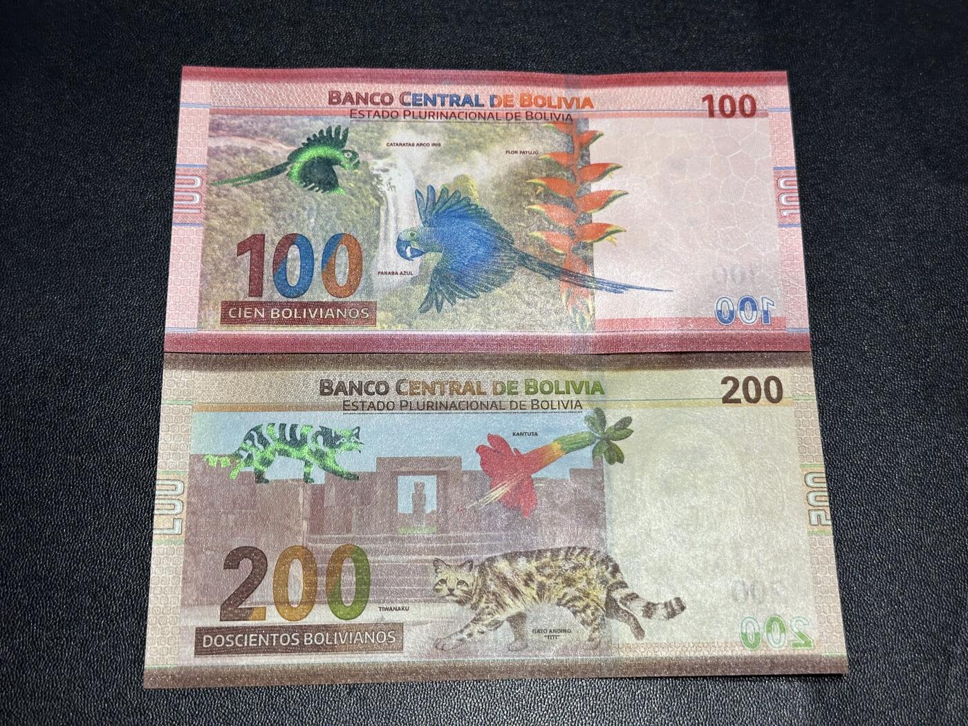 《外钞收藏家》第六百一十一期（农历新年第一场/快递恢复正常再发货）（长期征集拍品、欢迎藏友们联系合作） 玻利维亚100和200面额 2张一起 全新 尾（15、35）