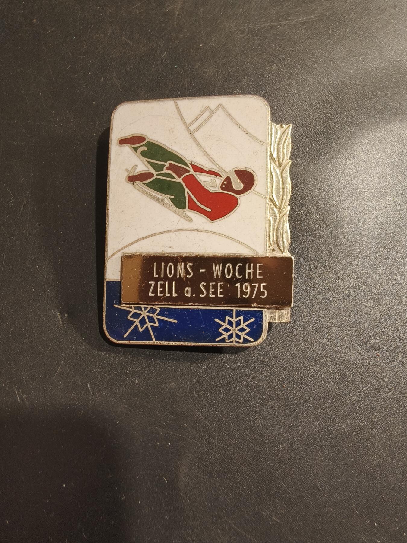 老王徽章第182期 法国高山滑雪证章