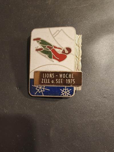 老王徽章第182期 - 法国高山滑雪证章