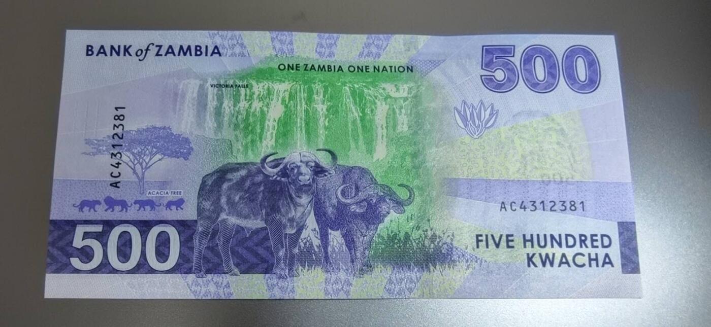 春节钱币瓷器清货捡漏拍场